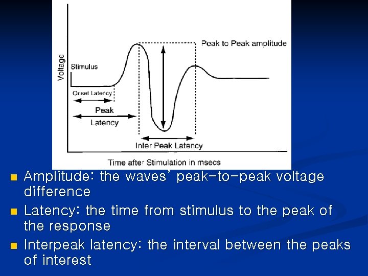n n n Amplitude: the waves’ peak-to-peak voltage difference Latency: the time from stimulus