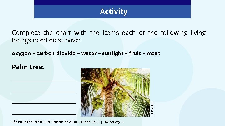 Activity Complete the chart with the items each of the following livingbeings need do Activity Complete the chart with the items each of the following livingbeings need do