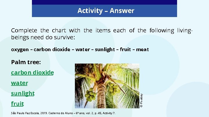 Activity – Answer Complete the chart with the items each of the following livingbeings Activity – Answer Complete the chart with the items each of the following livingbeings
