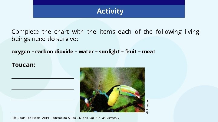 Activity Complete the chart with the items each of the following livingbeings need do Activity Complete the chart with the items each of the following livingbeings need do