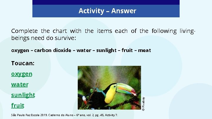 Activity – Answer Complete the chart with the items each of the following livingbeings Activity – Answer Complete the chart with the items each of the following livingbeings
