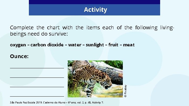 Activity Complete the chart with the items each of the following livingbeings need do Activity Complete the chart with the items each of the following livingbeings need do
