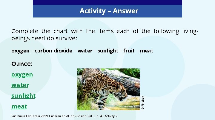Activity – Answer Complete the chart with the items each of the following livingbeings Activity – Answer Complete the chart with the items each of the following livingbeings