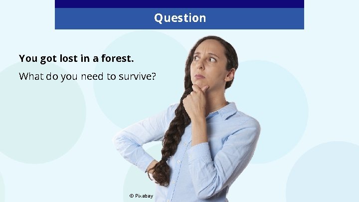 Question You got lost in a forest. What do you need to survive? © Question You got lost in a forest. What do you need to survive? ©