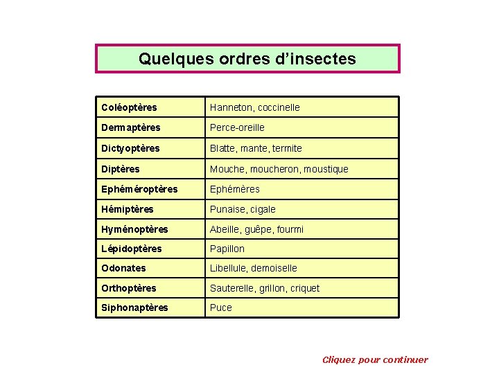 Quelques ordres d’insectes Coléoptères Hanneton, coccinelle Dermaptères Perce-oreille Dictyoptères Blatte, mante, termite Diptères Mouche,