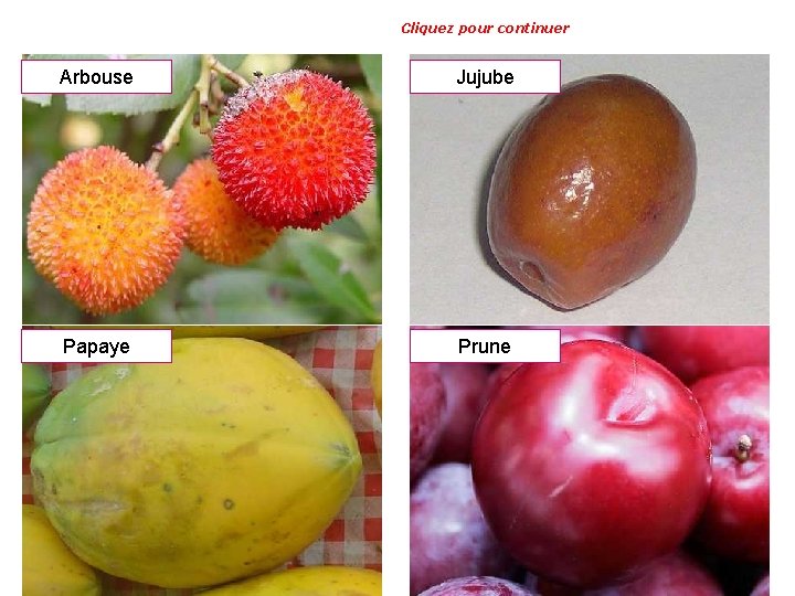 Cliquez pour continuer Arbouse Jujube Papaye Prune 