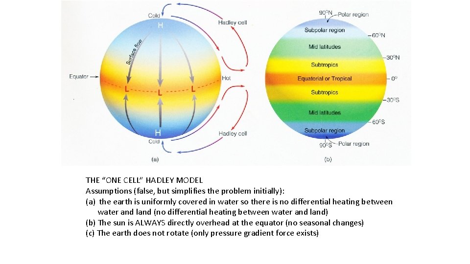 THE “ONE CELL” HADLEY MODEL Assumptions (false, but simplifies the problem initially): (a) the