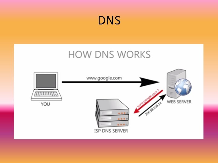 DNS 