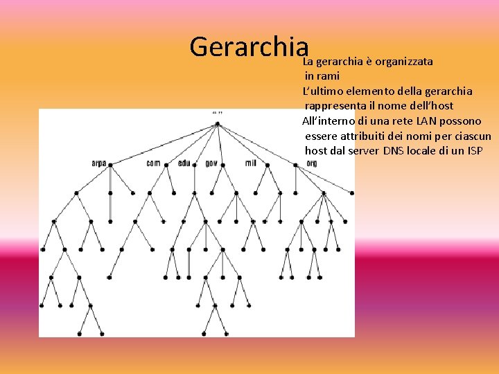 Gerarchia La gerarchia è organizzata in rami L’ultimo elemento della gerarchia rappresenta il nome