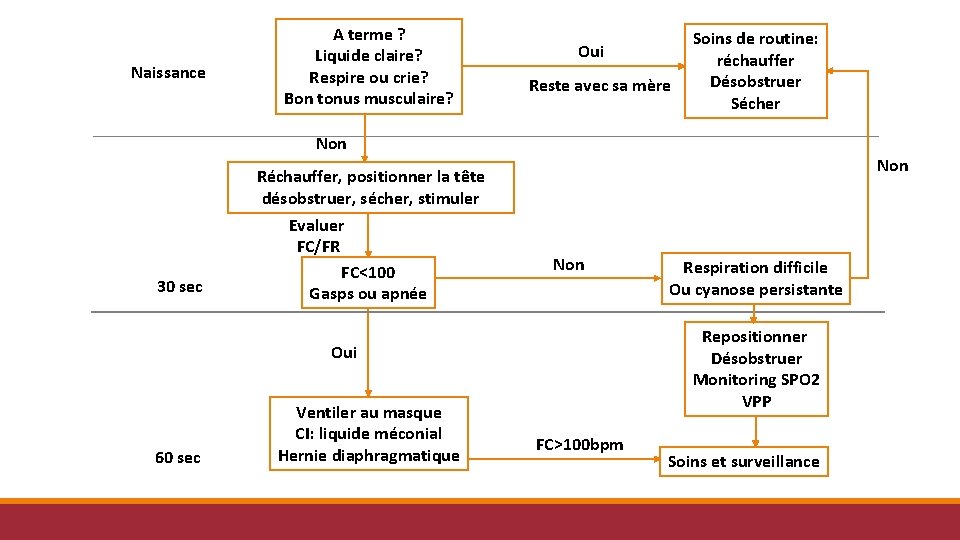 Naissance A terme ? Liquide claire? Respire ou crie? Bon tonus musculaire? Oui Reste Naissance A terme ? Liquide claire? Respire ou crie? Bon tonus musculaire? Oui Reste