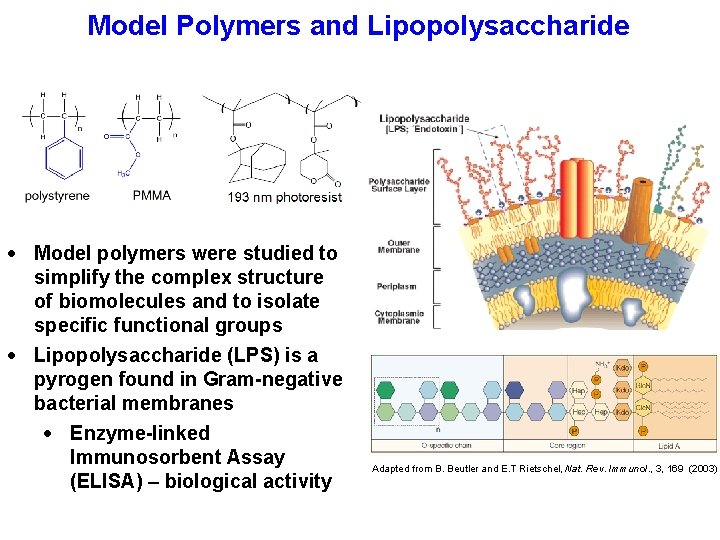 Model Polymers and Lipopolysaccharide Model polymers were studied to simplify the complex structure of