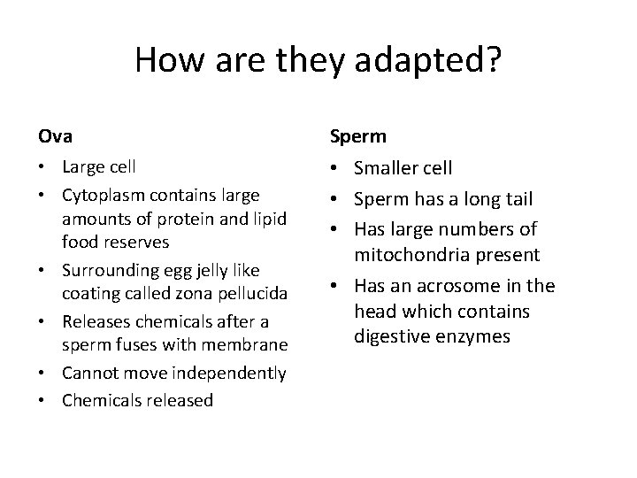 How are they adapted? Ova Sperm • Large cell • Cytoplasm contains large amounts