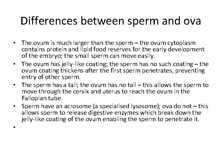 Differences between sperm and ova • The ovum is much larger than the sperm