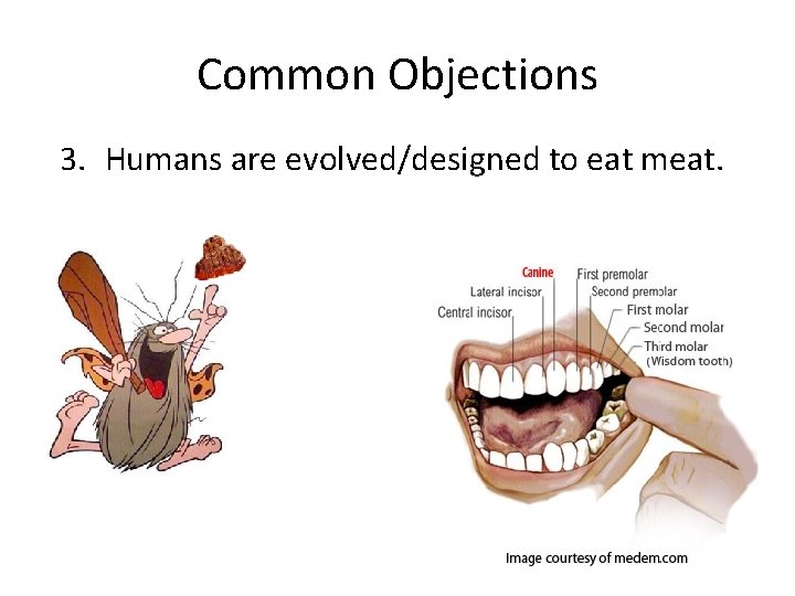 Common Objections 3. Humans are evolved/designed to eat meat. 