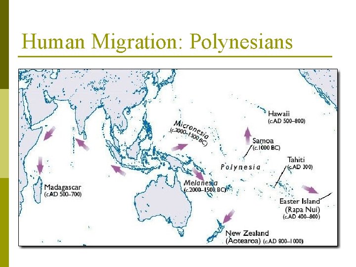 Human Migration: Polynesians 