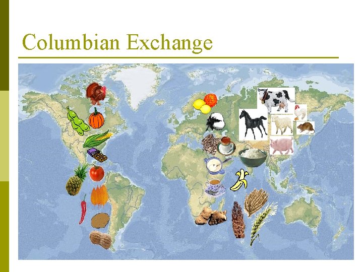 Columbian Exchange 