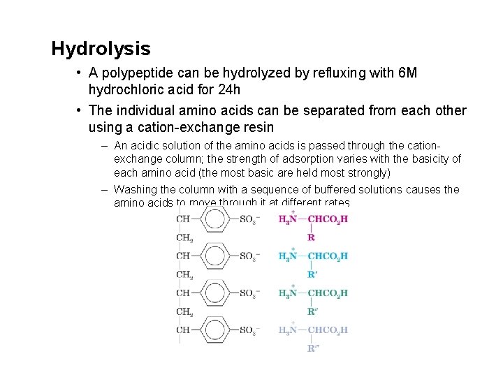 Hydrolysis • A polypeptide can be hydrolyzed by refluxing with 6 M hydrochloric acid