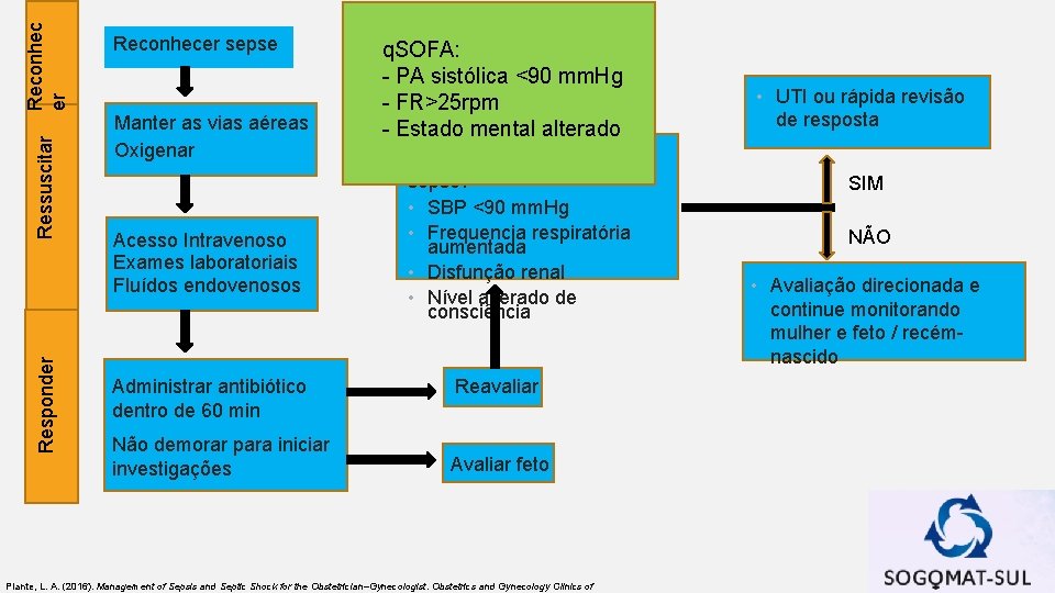 Reconhec er Ressuscitar Responder Reconhecer sepse Manter as vias aéreas Oxigenar Acesso Intravenoso Exames