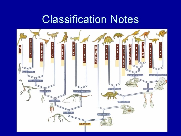 Classification Notes 