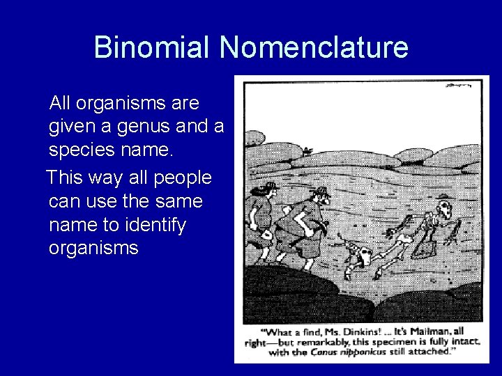 Binomial Nomenclature All organisms are given a genus and a species name. This way