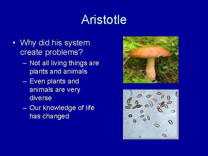 Aristotle • Why did his system create problems? – Not all living things are