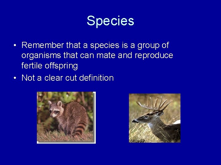 Species • Remember that a species is a group of organisms that can mate