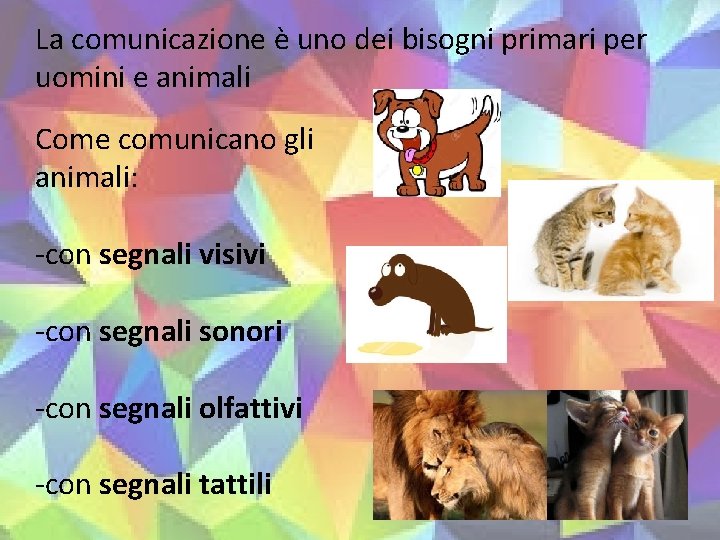 La comunicazione è uno dei bisogni primari per uomini e animali Come comunicano gli