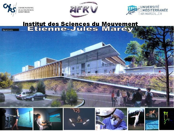 Institut des Sciences du Mouvement 