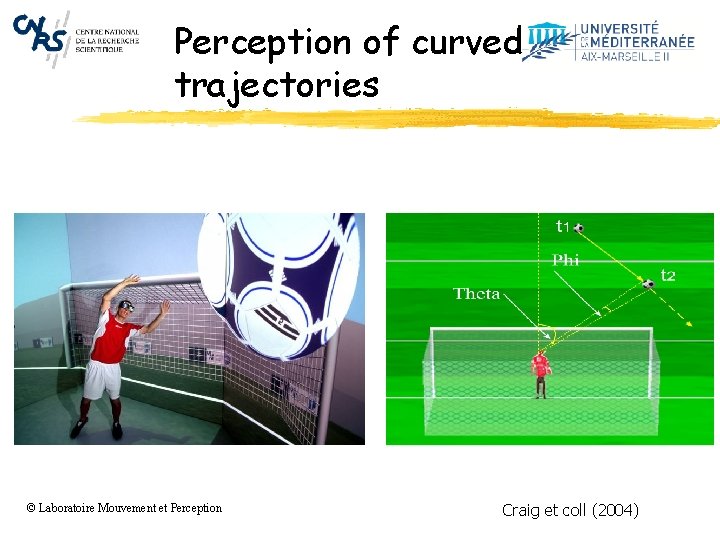 Perception of curved trajectories © Laboratoire Mouvement et Perception Craig et coll (2004) 