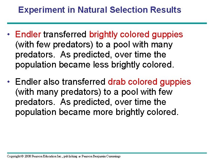 Experiment in Natural Selection Results • Endler transferred brightly colored guppies (with few predators)