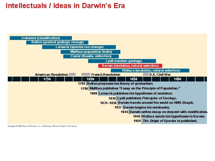 Intellectuals / Ideas in Darwin’s Era Linnaeus (classification) Hutton (gradual geologic change) Lamarck (species