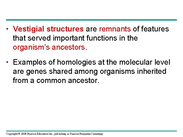  • Vestigial structures are remnants of features that served important functions in the