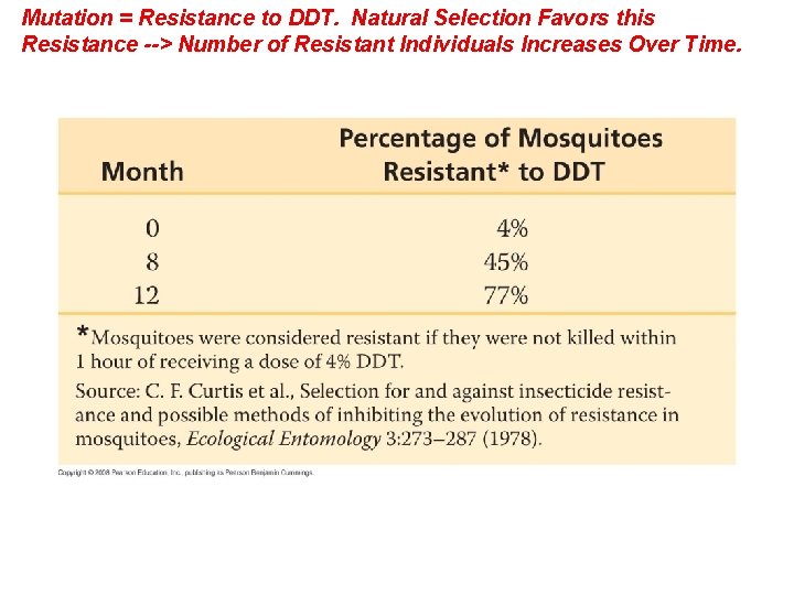 Mutation = Resistance to DDT. Natural Selection Favors this Resistance --> Number of Resistant