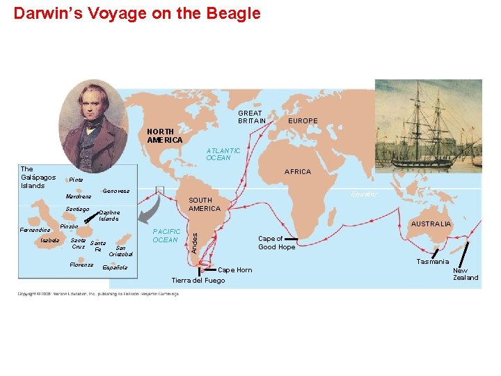 Darwin’s Voyage on the Beagle GREAT BRITAIN EUROPE NORTH AMERICA ATLANTIC OCEAN AFRICA Pinta