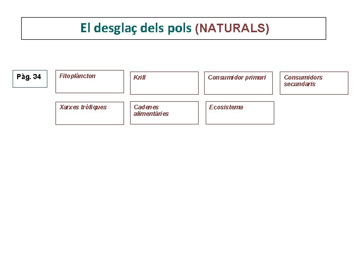 El desglaç dels pols (NATURALS) Pàg. 34 Fitoplàncton Krill Consumidor primari Xarxes tròfiques Cadenes El desglaç dels pols (NATURALS) Pàg. 34 Fitoplàncton Krill Consumidor primari Xarxes tròfiques Cadenes