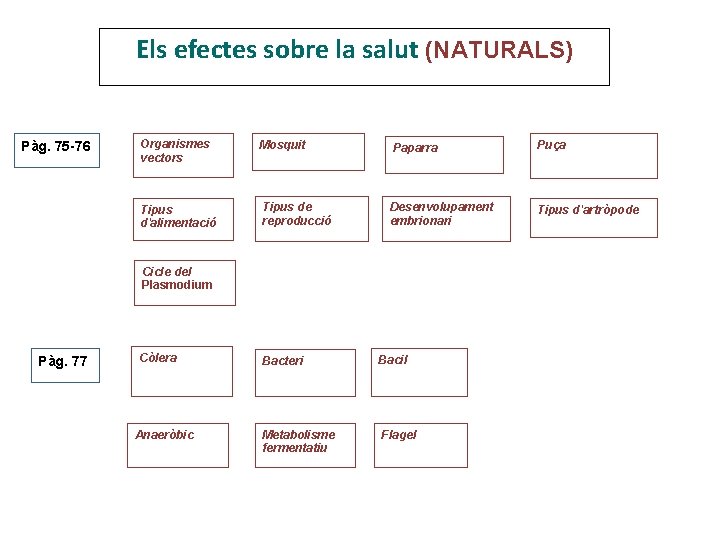 Els efectes sobre la salut (NATURALS) Pàg. 75 -76 Organismes vectors Mosquit Paparra Puça Els efectes sobre la salut (NATURALS) Pàg. 75 -76 Organismes vectors Mosquit Paparra Puça