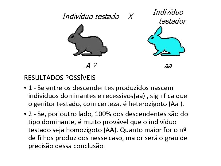 Indivíduo testado X Indivíduo testador A? aa RESULTADOS POSSÍVEIS • 1 - Se entre Indivíduo testado X Indivíduo testador A? aa RESULTADOS POSSÍVEIS • 1 - Se entre