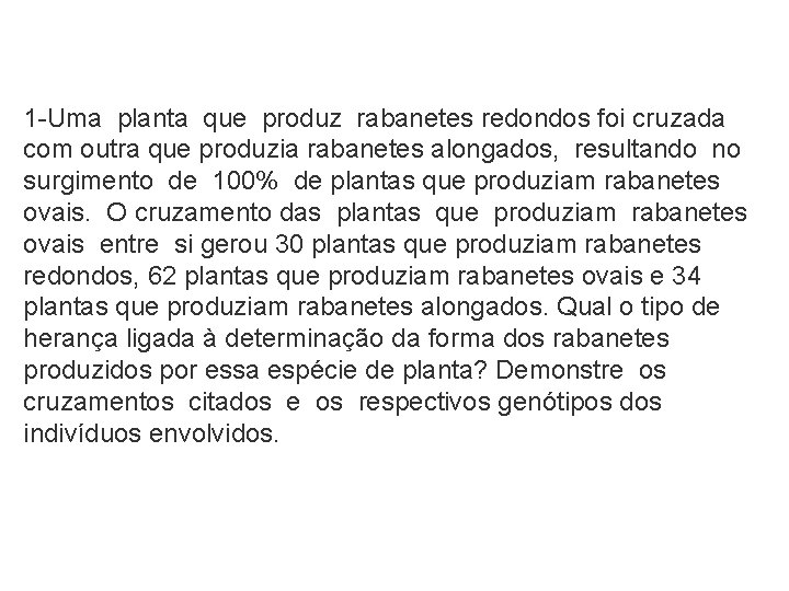 1 -Uma planta que produz rabanetes redondos foi cruzada com outra que produzia rabanetes 1 -Uma planta que produz rabanetes redondos foi cruzada com outra que produzia rabanetes