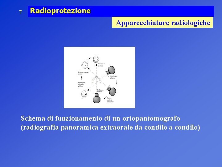 7 Radioprotezione Apparecchiature radiologiche Schema di funzionamento di un ortopantomografo (radiografia panoramica extraorale da 7 Radioprotezione Apparecchiature radiologiche Schema di funzionamento di un ortopantomografo (radiografia panoramica extraorale da