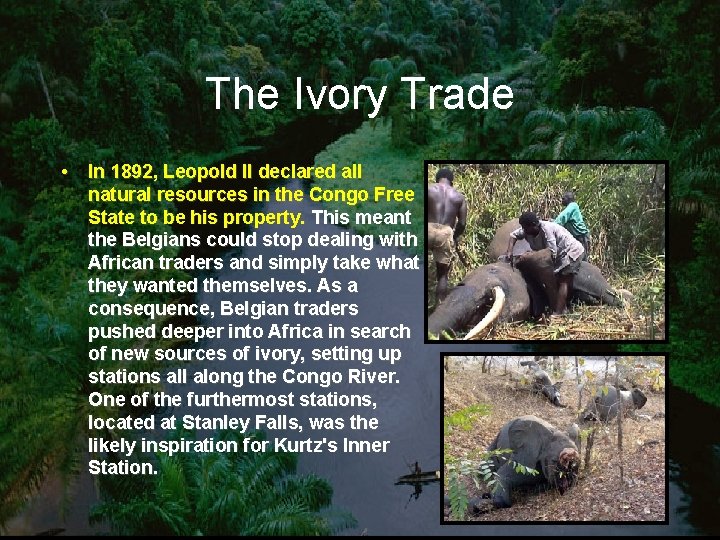 The Ivory Trade • In 1892, Leopold II declared all natural resources in the