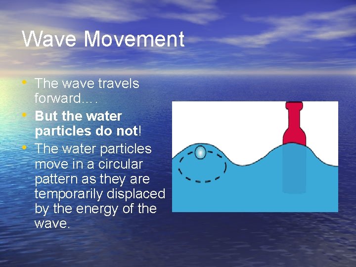Wave Movement • The wave travels • • forward…. But the water particles do