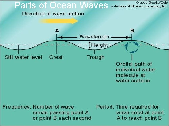 Parts of Ocean Waves 