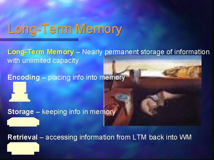 Long-Term Memory – Nearly permanent storage of information with unlimited capacity Encoding – placing