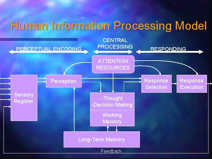 Human Information Processing Model PERCEPTUAL ENCODING CENTRAL PROCESSING RESPONDING ATTENTION RESOURCES Response Selection Perception Human Information Processing Model PERCEPTUAL ENCODING CENTRAL PROCESSING RESPONDING ATTENTION RESOURCES Response Selection Perception