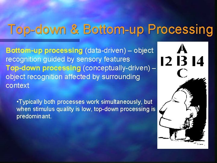 Top-down & Bottom-up Processing Bottom-up processing (data-driven) – object recognition guided by sensory features