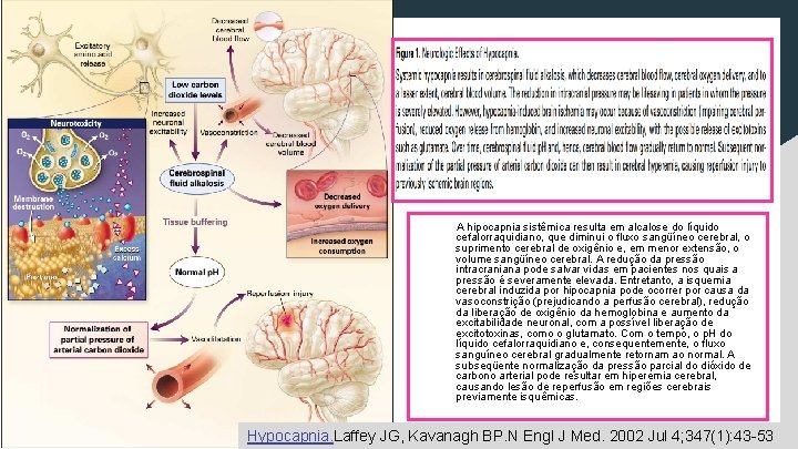  A hipocapnia sistêmica resulta em alcalose do líquido cefalorraquidiano, que diminui o fluxo