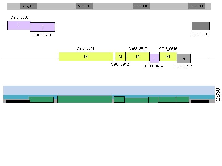 555, 000 557, 500 560, 000 562, 500 CBU_0609 I CBU_0617 CBU_0610 CBU_0611 M