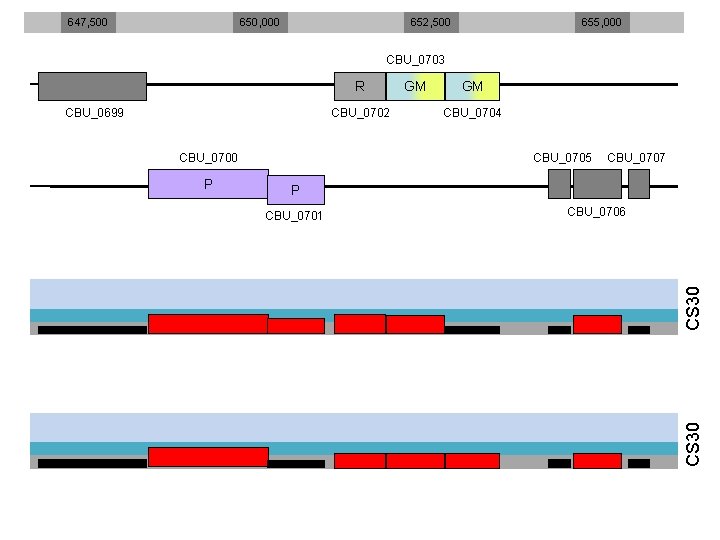 647, 500 650, 000 652, 500 655, 000 CBU_0703 R CBU_0699 CBU_0702 CBU_0700 GM