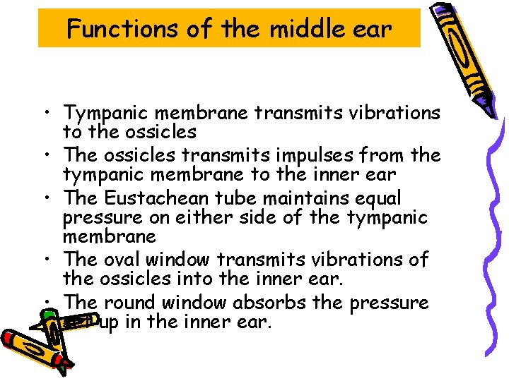 Functions of the middle ear • Tympanic membrane transmits vibrations to the ossicles •