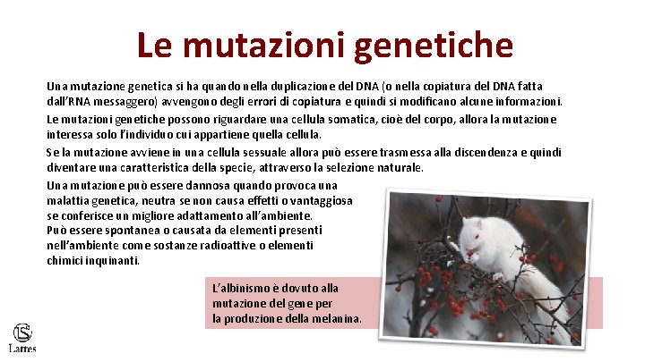 Le mutazioni genetiche Una mutazione genetica si ha quando nella duplicazione del DNA (o